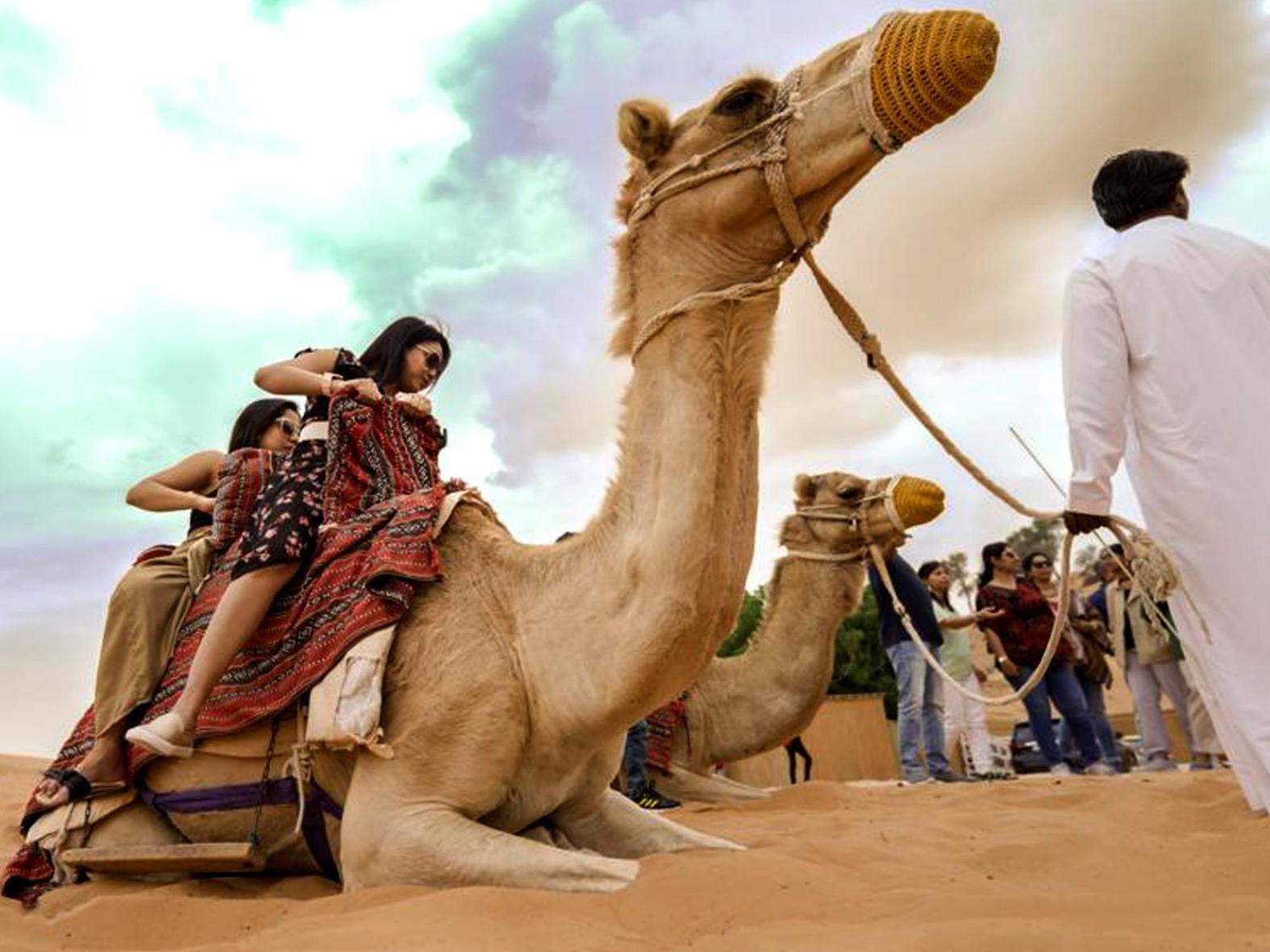 Bedouin Oasis Desert Camp- Ras Al Khaimah エクステリア 写真