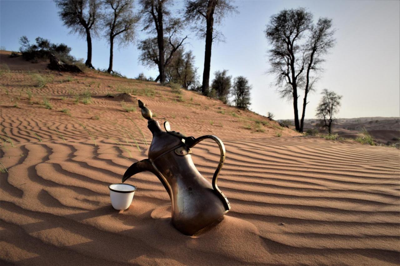 Bedouin Oasis Desert Camp- Ras Al Khaimah エクステリア 写真